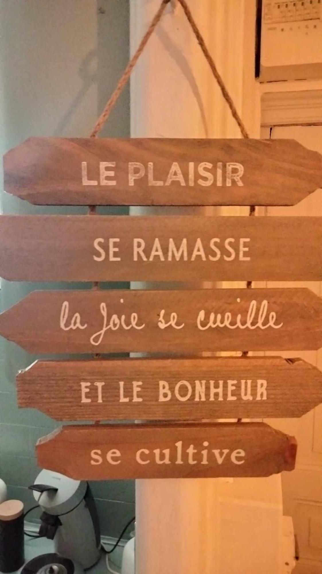 Le Nid Douillet Champetre Linge Fourni Apartman La Bourboule Kültér fotó